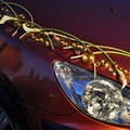 dekoracje samochodów, kalia, drut 